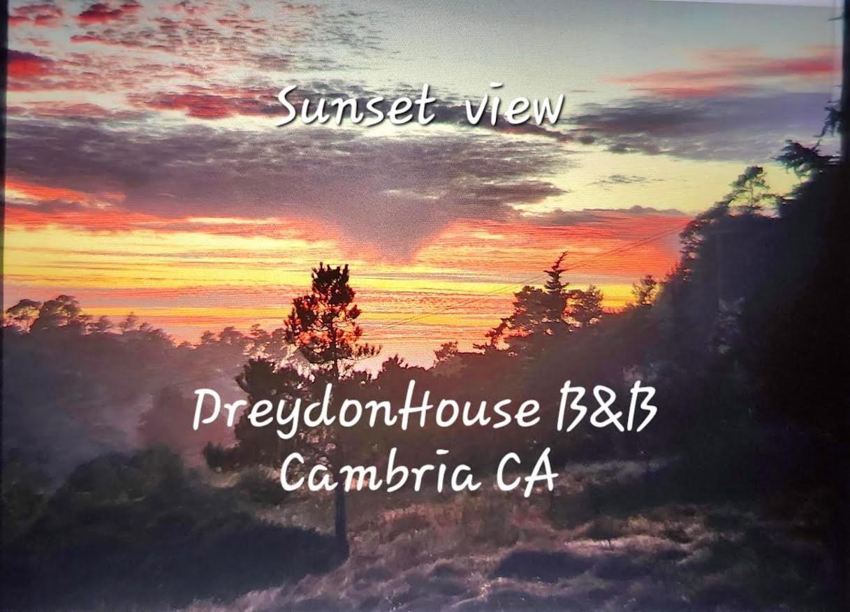 Dreydon House Bed And Breakfast Cambria Eksteriør bilde